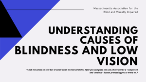image of title slide of "Understanding Causes of Blindness and Low Vision" training