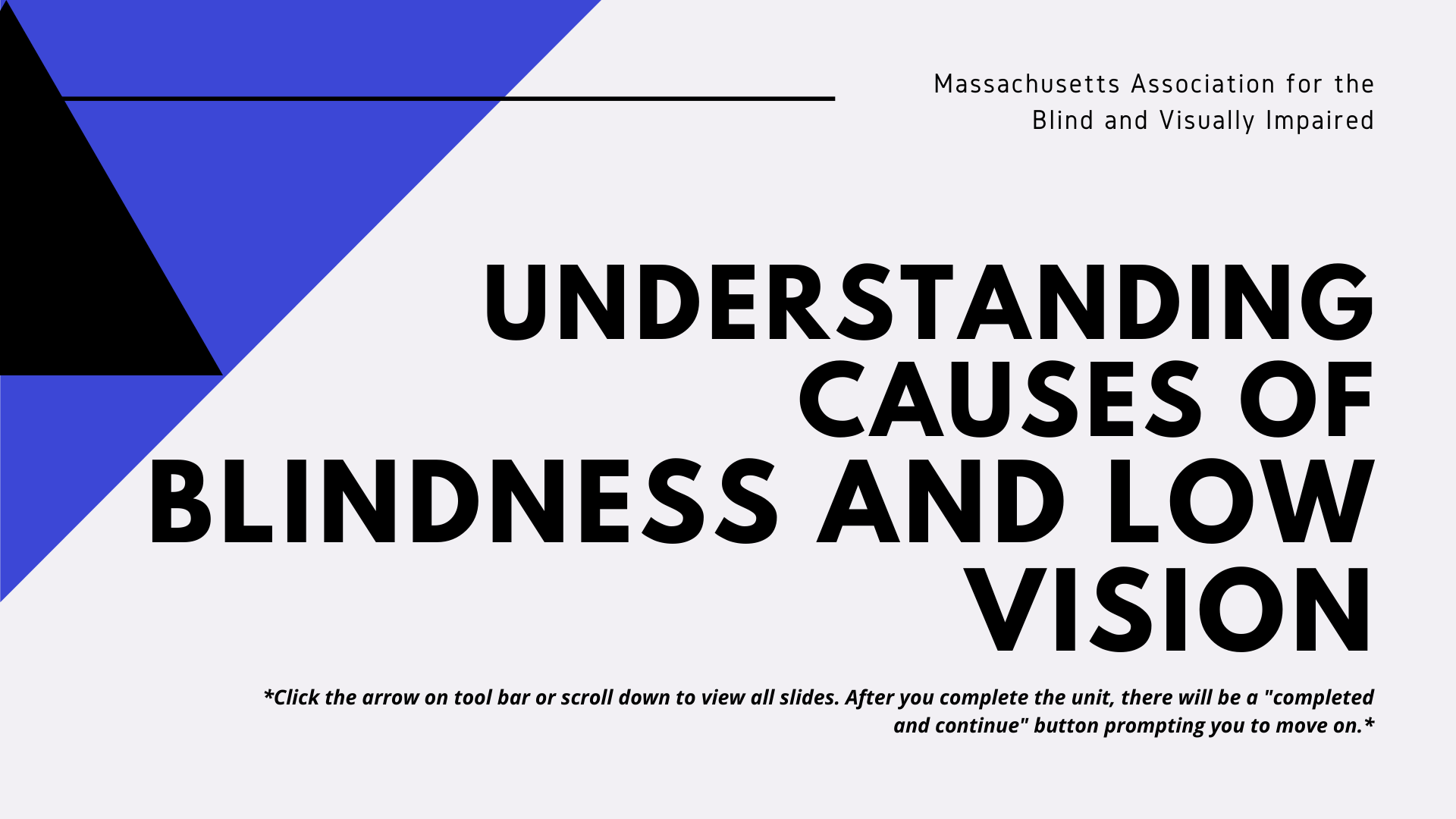 Volunteer Resources Massachusetts Association for the Blind and